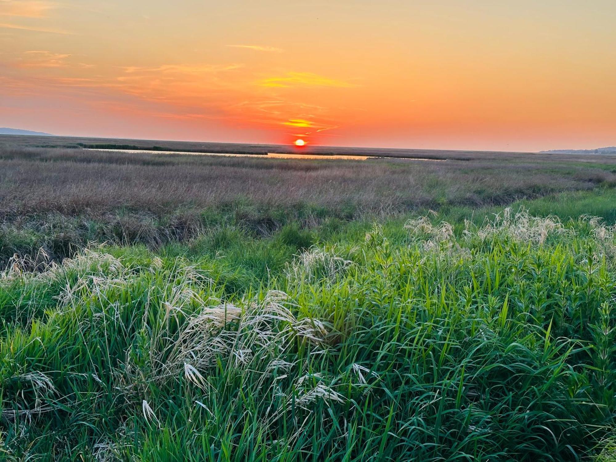 The Rambler'S Rest Cottage, Parkgate, Wirral Parkgate  Esterno foto